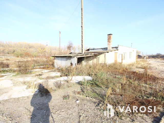 Gondolkozz nagyban
