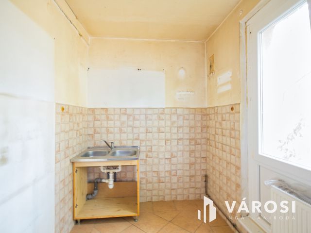 Szegeden a Vértónál, madárcsicsergős panel ajánalat.
